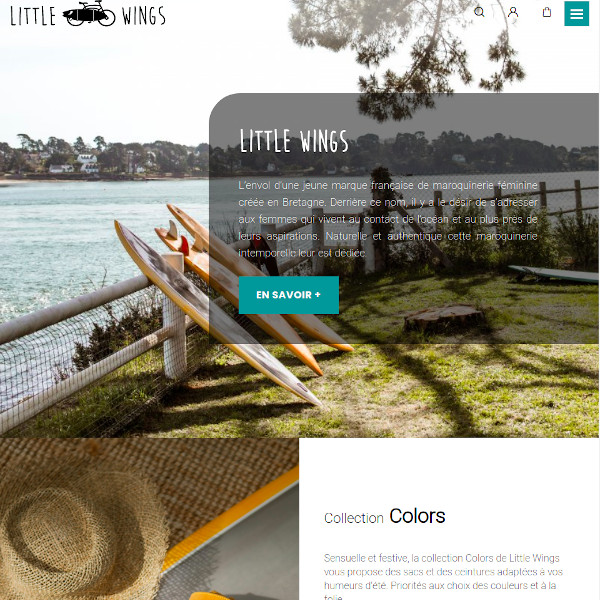 Site web Little Wings